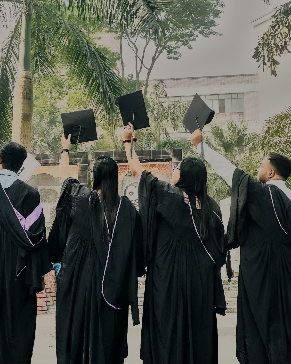 Graduates in black gowns, seen from behind, raising their caps on a palm-lined campus