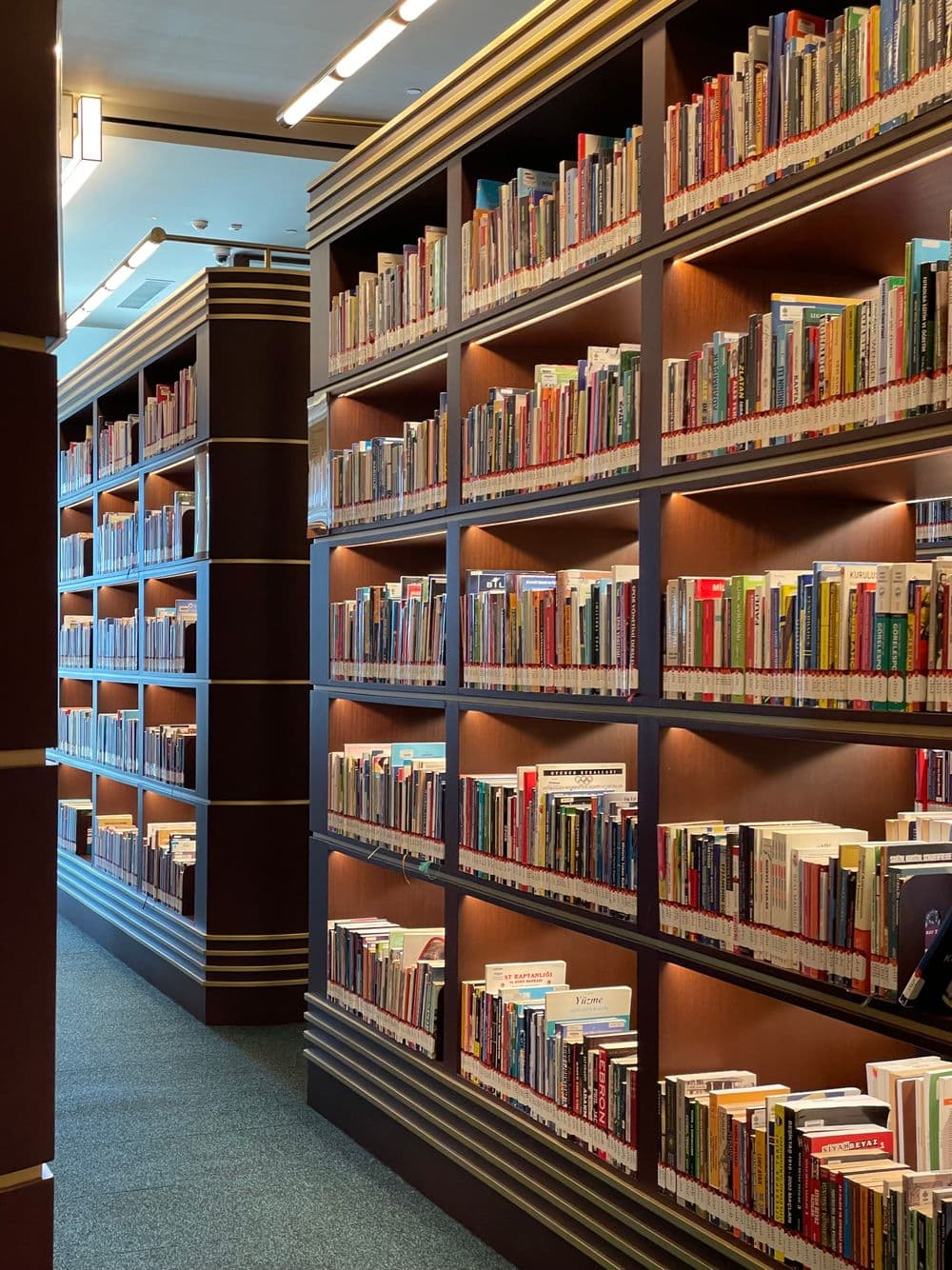 A quiet university library with tall shelves