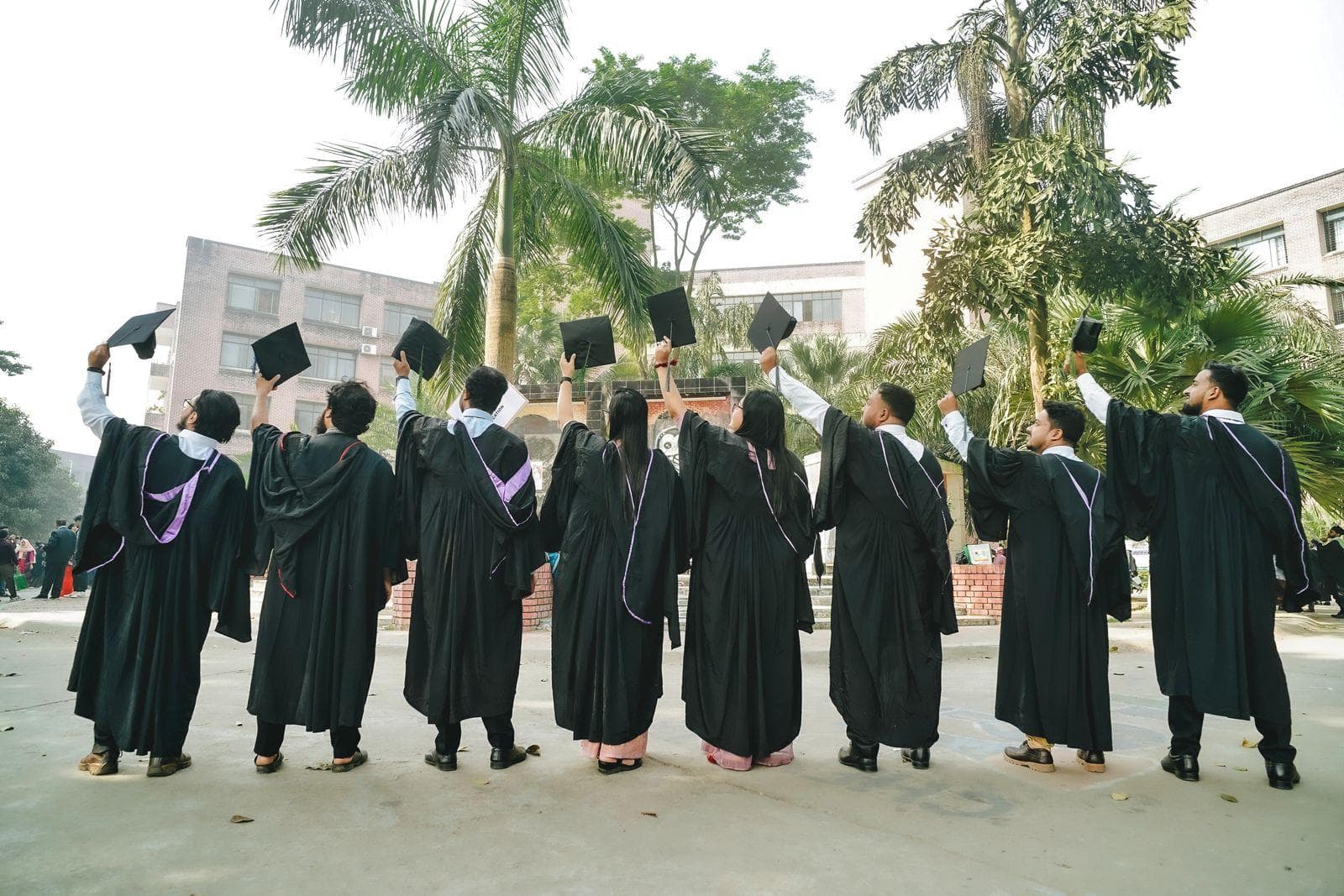 A line of graduates in black gowns and caps seen from behind, walking together along a palm-lined campus path