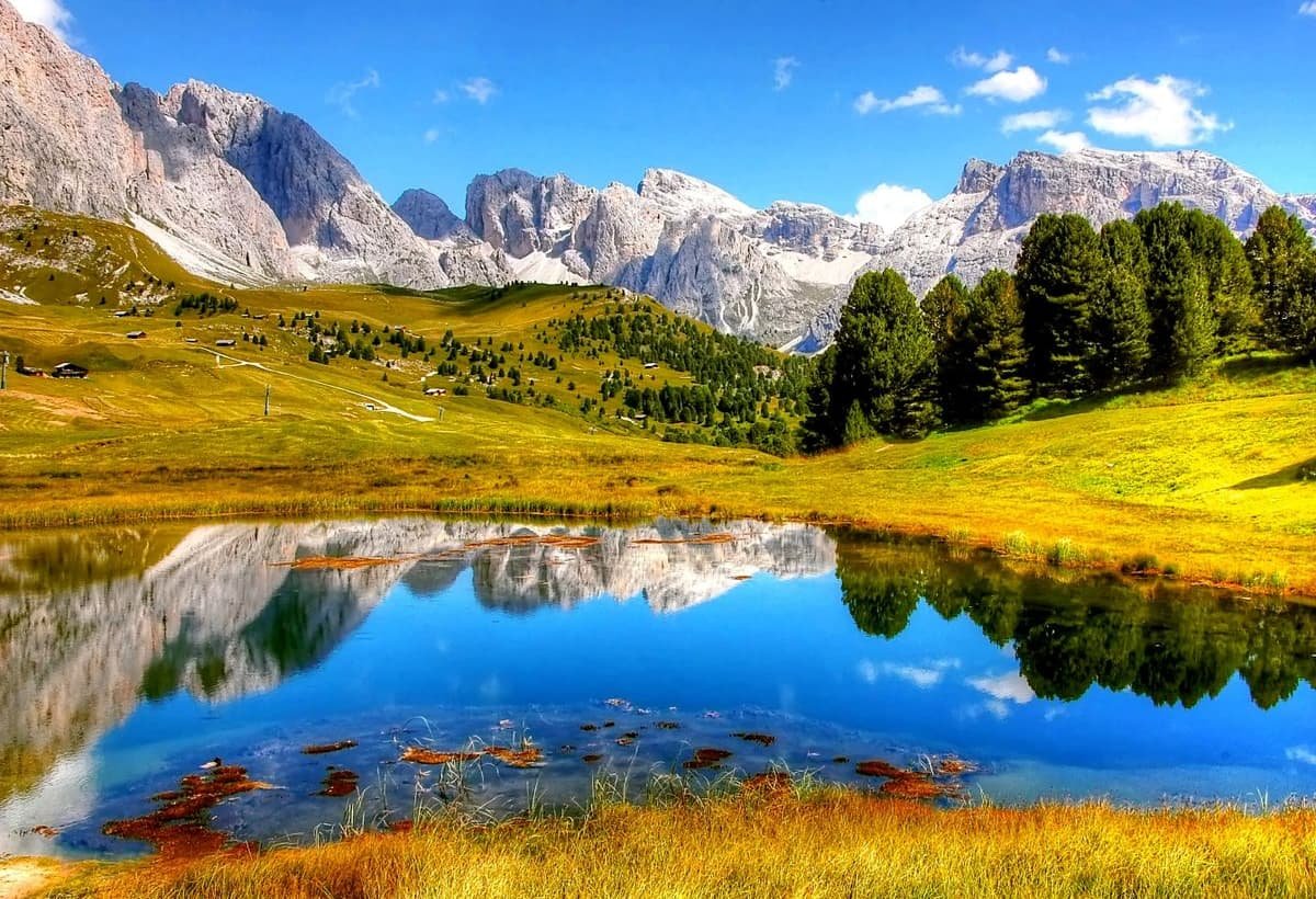 A green alpine meadow beside a small mirror-still lake, with grey and white rocky peaks and scattered pine trees under a bright blue sky.