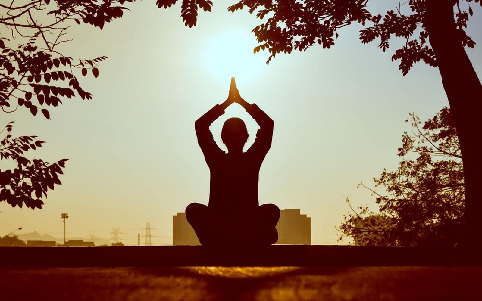 The silhouette of a person sitting cross-legged with hands raised together above their head, framed by dark tree branches against a hazy golden sunrise.